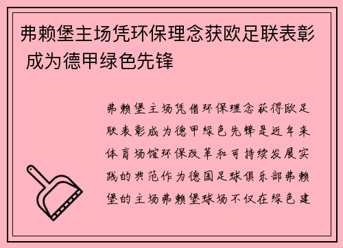 弗赖堡主场凭环保理念获欧足联表彰 成为德甲绿色先锋